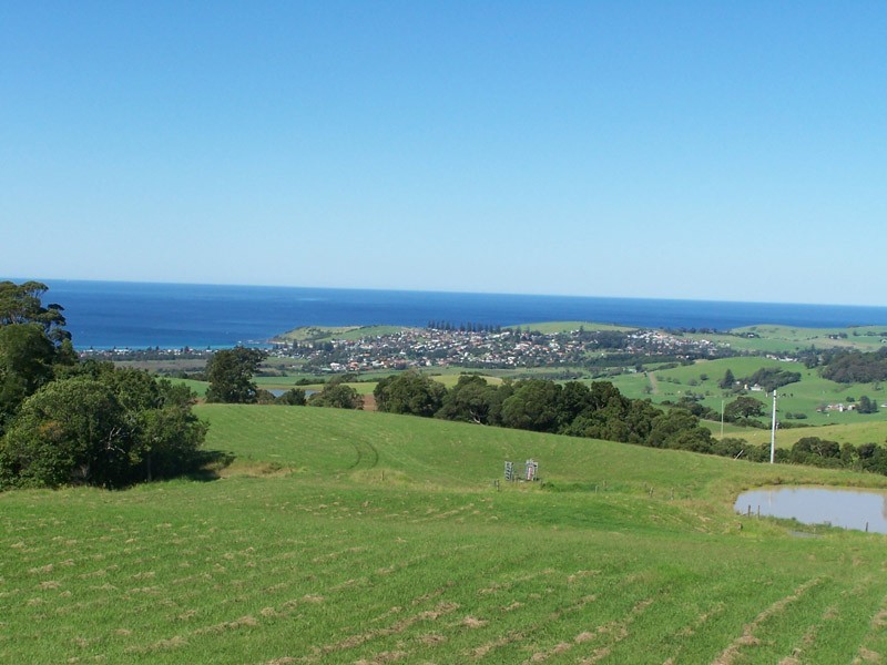 Lot 203 Rose Valley Road, Rose Valley NSW 2534