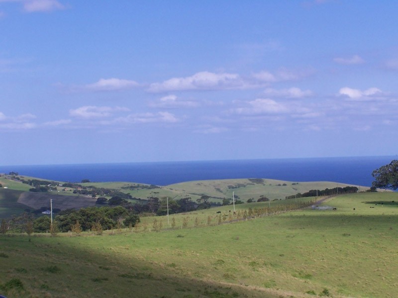 Lot 203 Rose Valley Road, Rose Valley NSW 2534