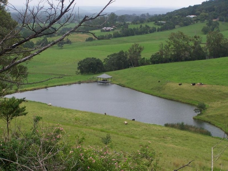 65 Graham Road, Meroo Meadow NSW 2540