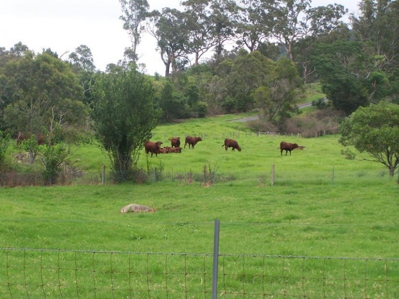 65 Graham Road, Meroo Meadow NSW 2540