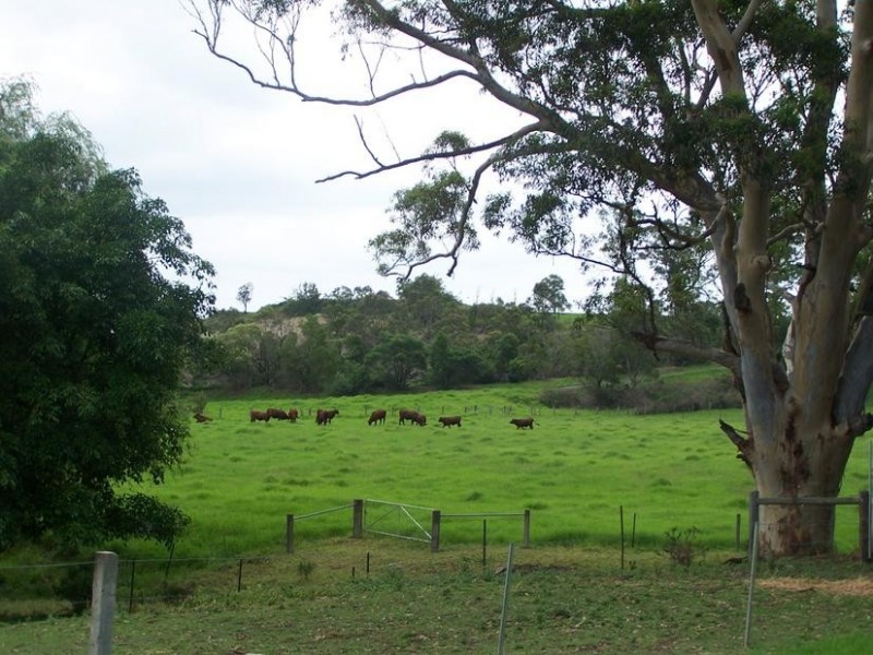 65 Graham Road, Meroo Meadow NSW 2540