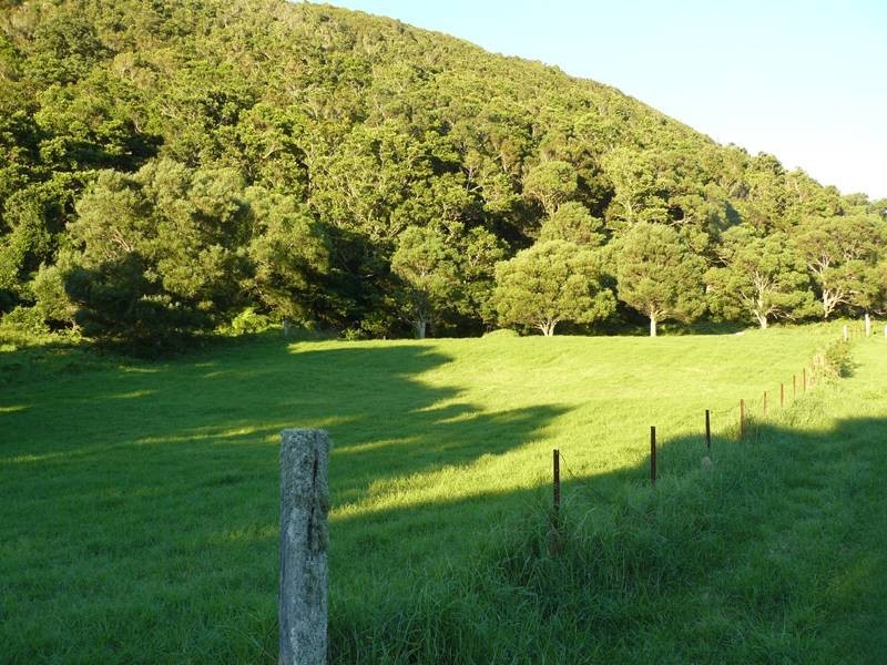 Lot 1 Williams Road, Kiama NSW 2533