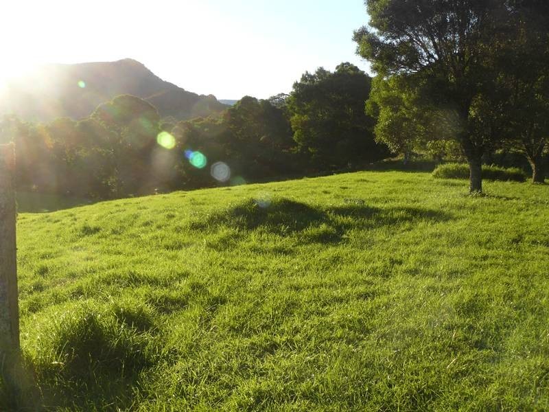 Lot 1 Williams Road, Kiama NSW 2533