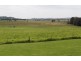 5 Dooley Road, Toolijooa NSW 2534