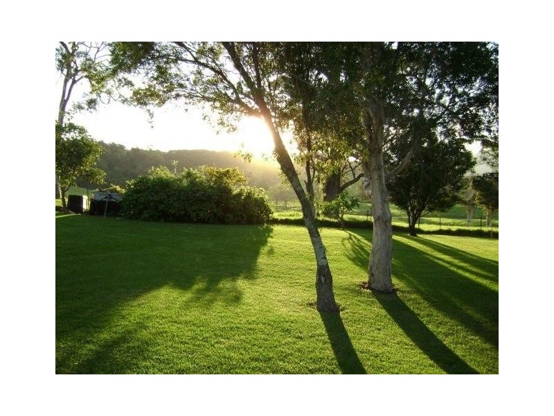 80 Toolijooa Road, Toolijooa NSW 2534