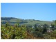27 Wilson Avenue, Gerringong NSW 2534