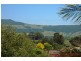 10 Sharpe Place, Gerringong NSW 2534
