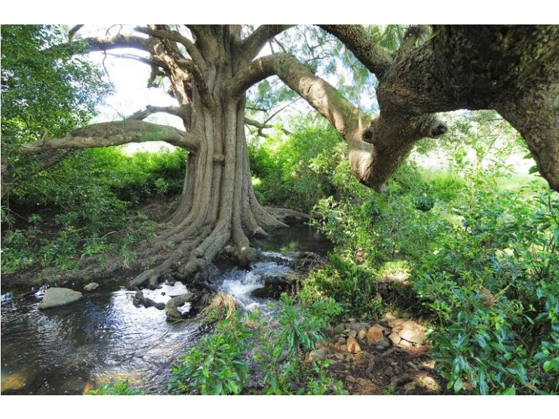 210 Foxground Road, Gerringong NSW 2534