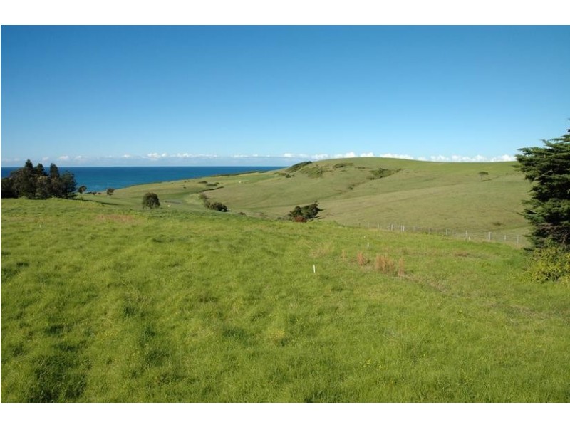 16 Crooked River Road, Gerroa NSW 2534