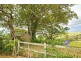 141C Belinda Street, Gerringong NSW 2534