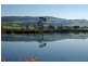 28 Werri Street, Gerringong NSW 2534