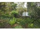115 Renfrew Road, Gerringong NSW 2534