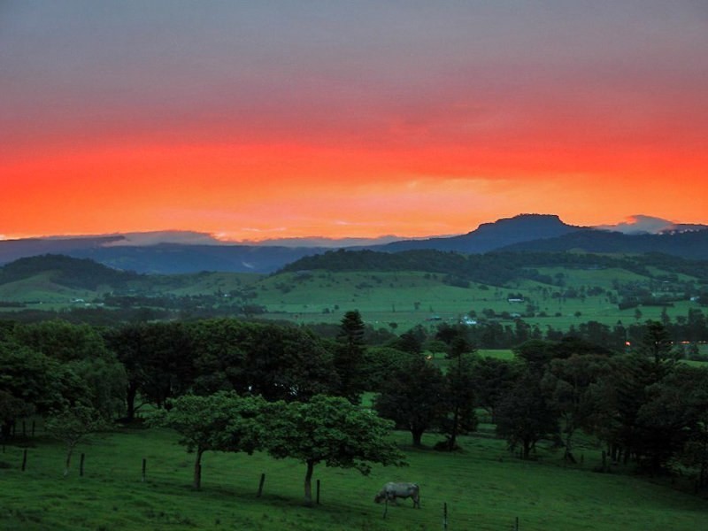 61 Crooked River Road, Gerroa NSW 2534