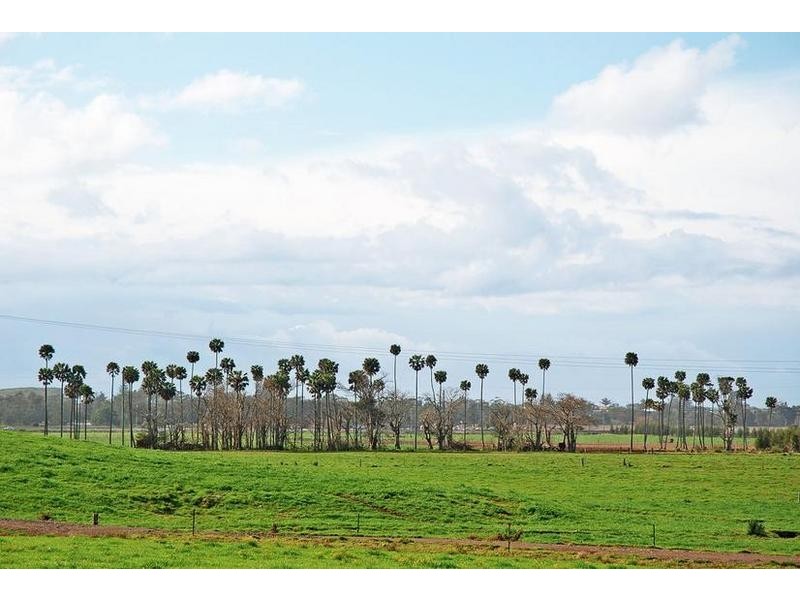 157 Rose Valley Road, Gerringong NSW 2534