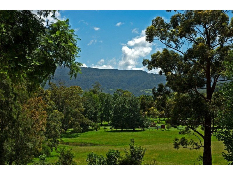 20 Foxground Road, Gerringong NSW 2534