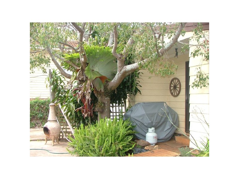 62 Jupiter Street, Gerringong NSW 2534