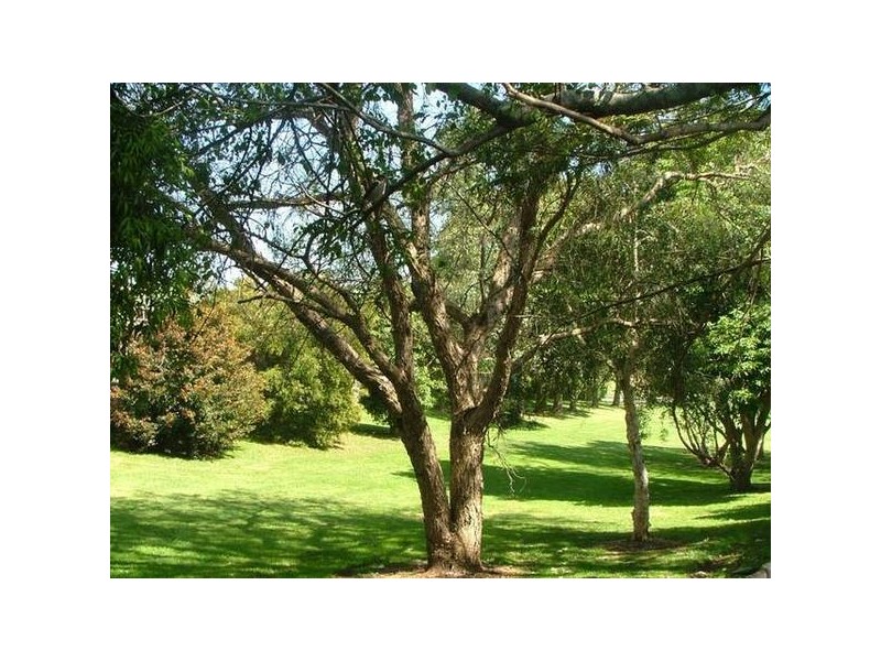 107 Belinda Street, Gerringong NSW 2534