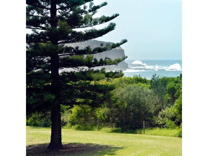38 Pacific Avenue, Werri Beach NSW 2534