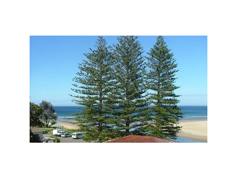 38 Stafford Street, Gerroa NSW 2534