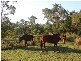 Carbrook QLD 4130