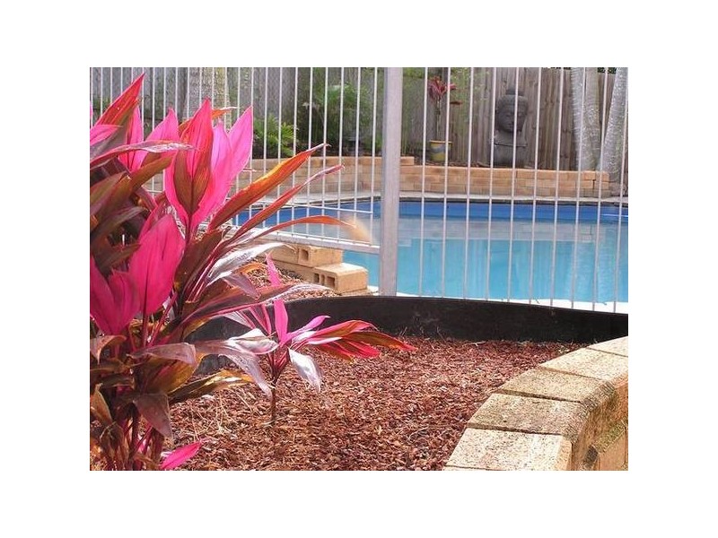 Alexandra Hills QLD 4161