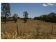 Lot 4,  Cable Lane, Canowindra NSW 2804