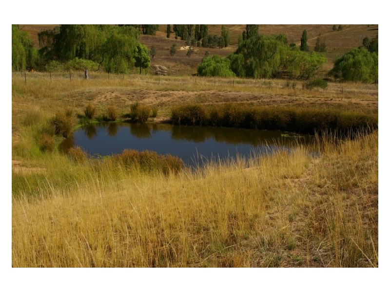 296 Mt McDonald Road, Darbys Falls NSW 2793