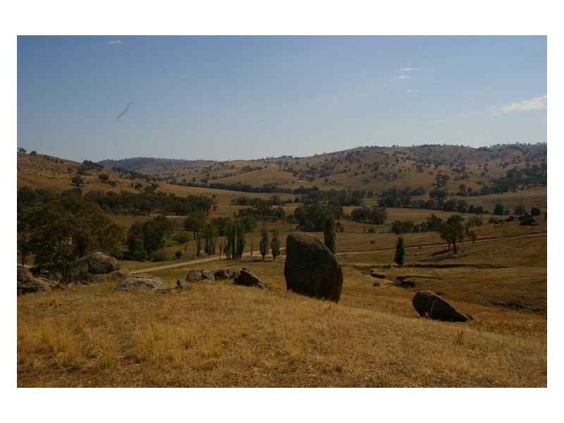 296 Mt McDonald Road, Darbys Falls NSW 2793