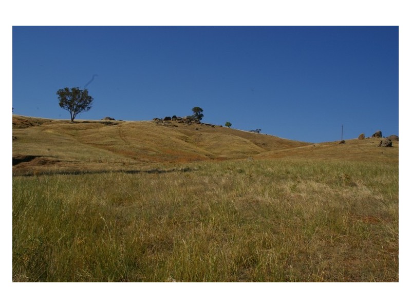 296 Mt McDonald Road, Darbys Falls NSW 2793