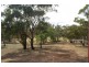Old Boorowa Road, Cowra NSW 2794