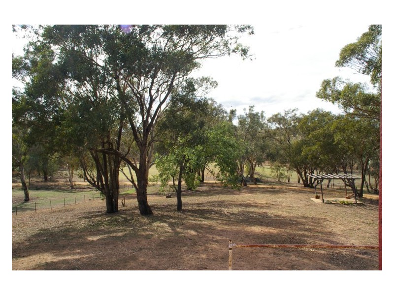 Old Boorowa Road, Cowra NSW 2794