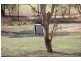 Old Boorowa Road, Cowra NSW 2794