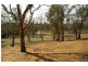 Old Boorowa Road, Cowra NSW 2794