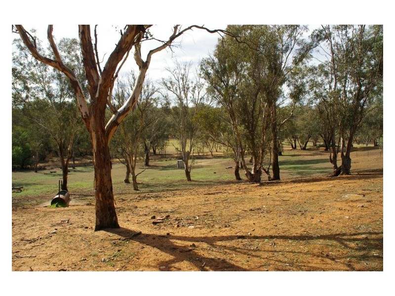 Old Boorowa Road, Cowra NSW 2794