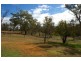 Old Boorowa Road, Cowra NSW 2794