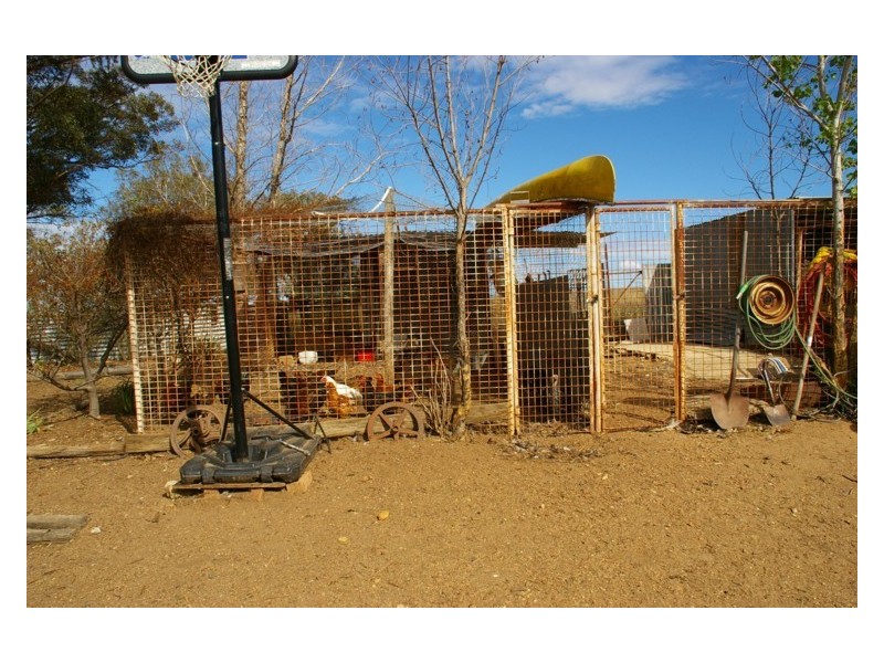 Old Boorowa Road, Cowra NSW 2794