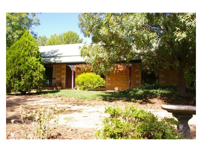 351 Porters Mount Road, Cowra NSW 2794