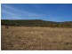 21 Kangarooby Road, Gooloogong NSW 2805