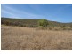 21 Kangarooby Road, Gooloogong NSW 2805