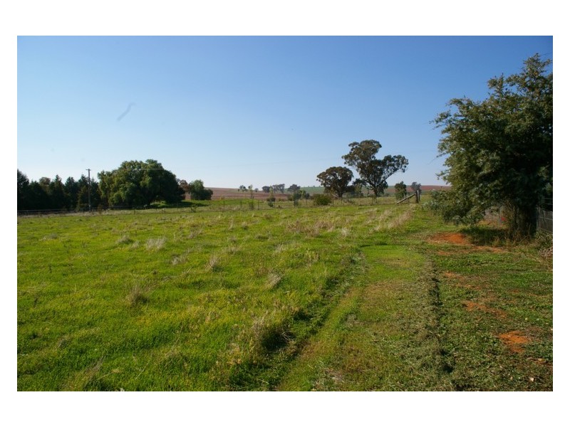 363 Porters Mount Road, Cowra NSW 2794