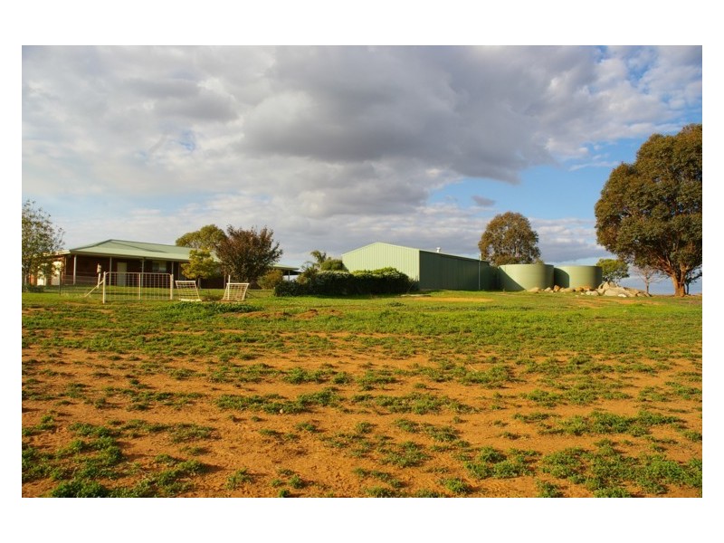 Canowindra Road, Cowra NSW 2794