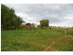 Canowindra Road, Cowra NSW 2794