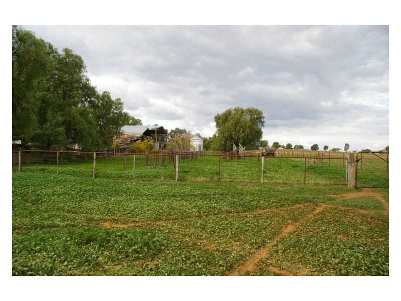 Canowindra Road, Cowra NSW 2794