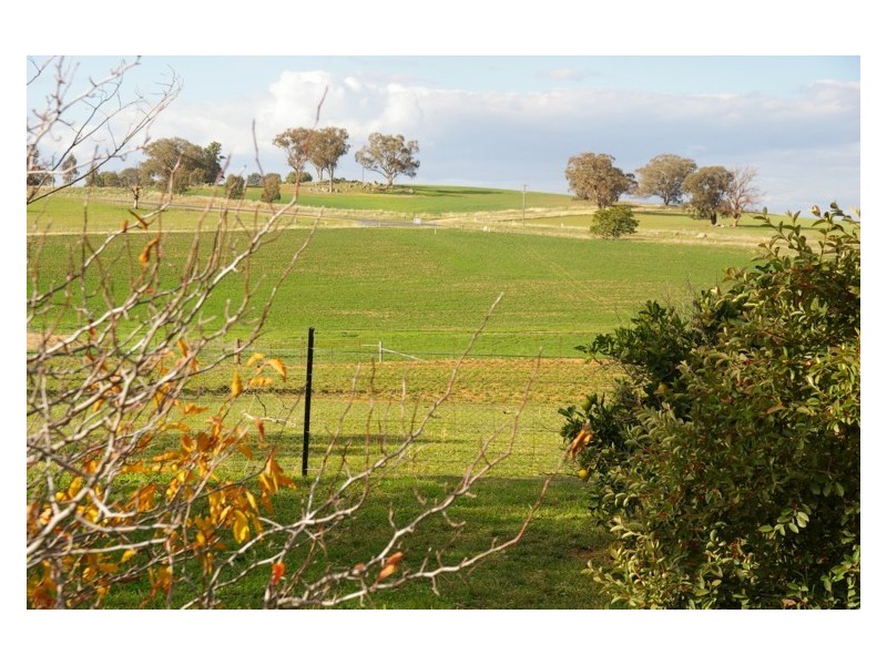 Canowindra Road, Cowra NSW 2794