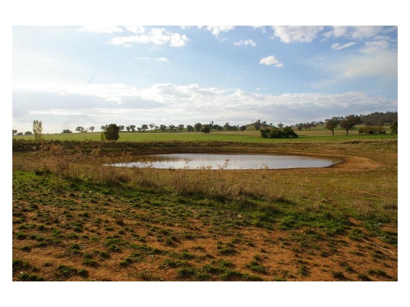 Canowindra Road, Cowra NSW 2794