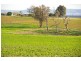 Canowindra Road, Cowra NSW 2794