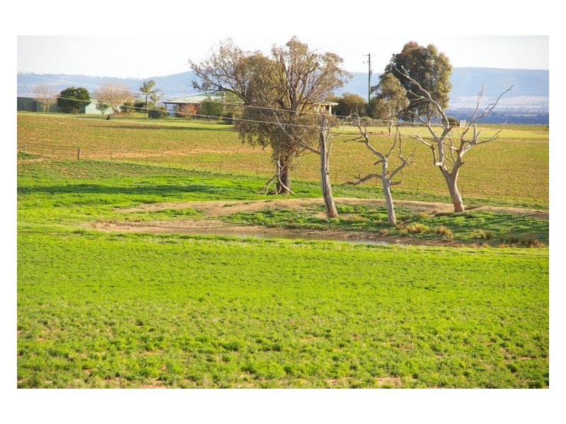 Canowindra Road, Cowra NSW 2794