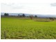 Canowindra Road, Cowra NSW 2794