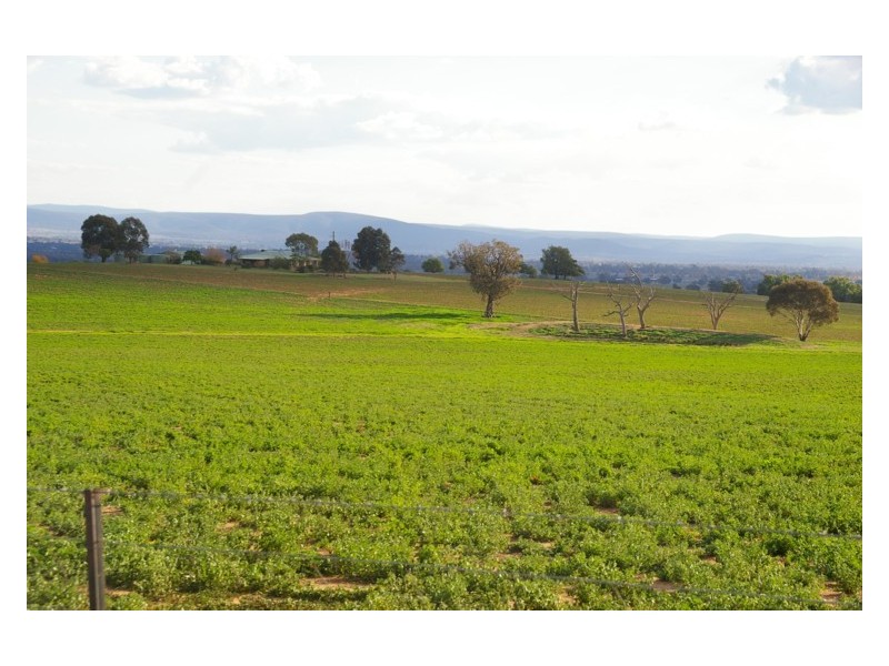 Canowindra Road, Cowra NSW 2794