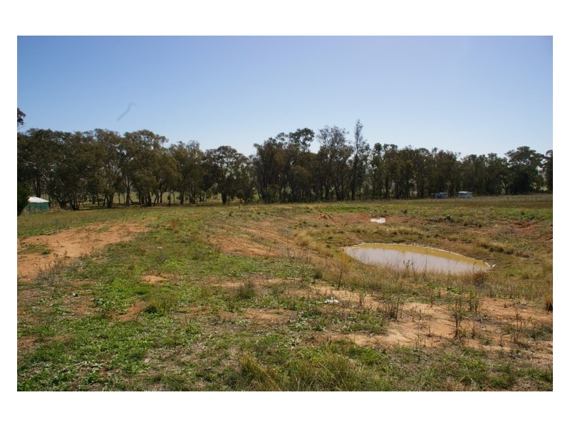 1015 Pine Mount Road, Woodstock NSW 2793